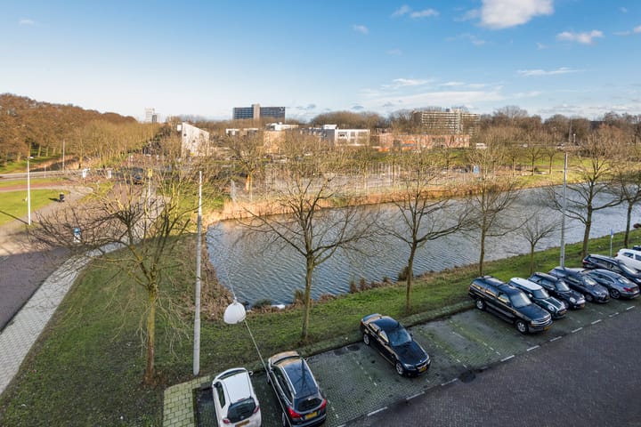 Foto 6 van Bernard Shawsingel 26