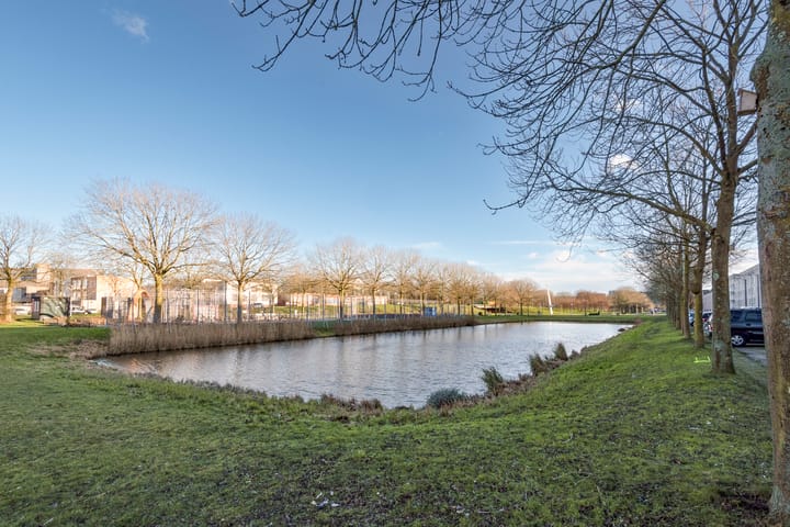 Foto 29 van Bernard Shawsingel 26