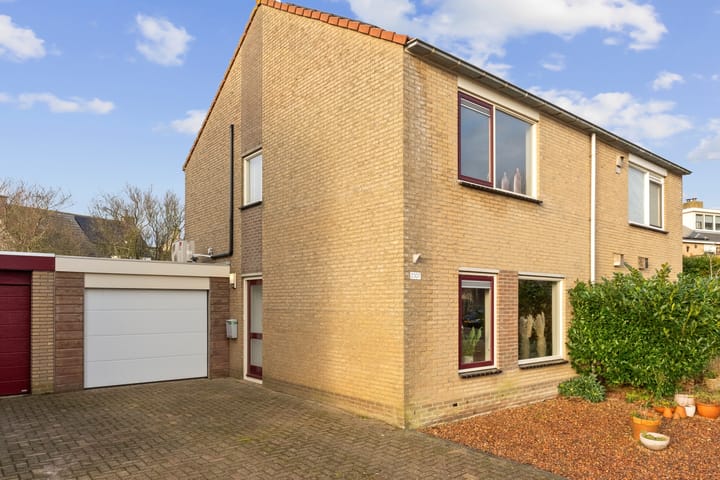 Foto 3 van Boterzwin 2307