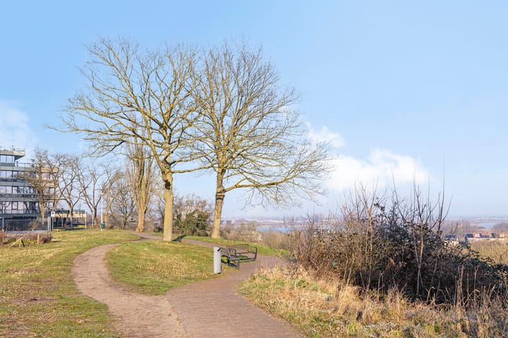 Photo 33 of Museum Kamstraat 9