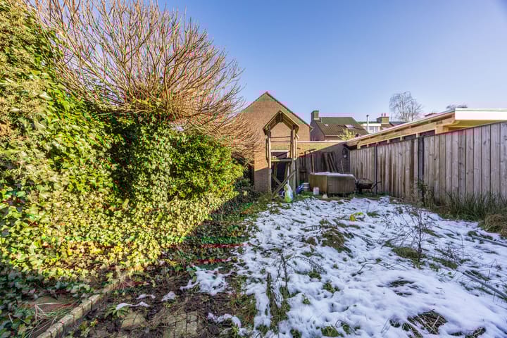 Foto 5 van Schepenhoek 248