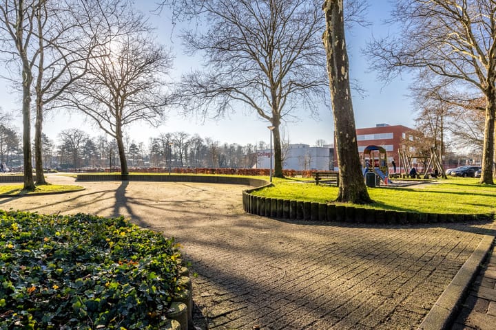 Foto 21 van Schepenhoek 248