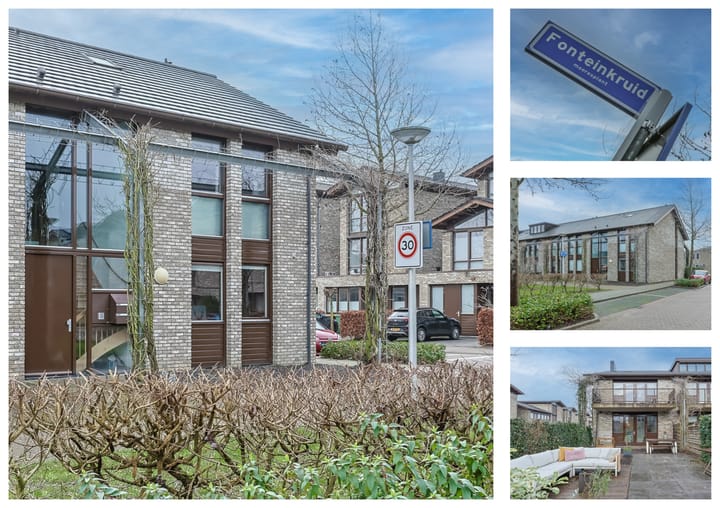 Foto 38 van Fonteinkruid 15