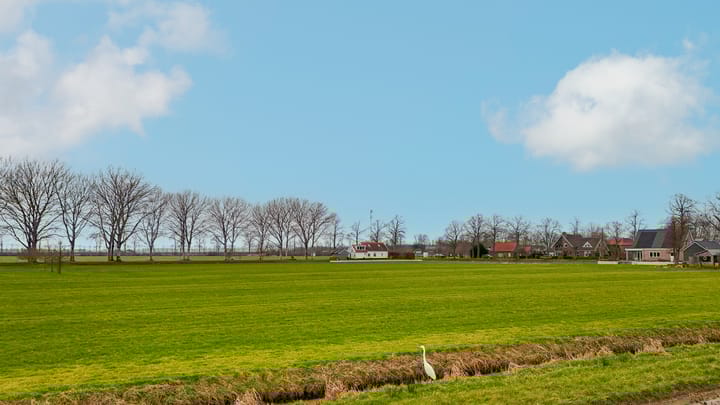 Foto 2 van Molenstraat 1