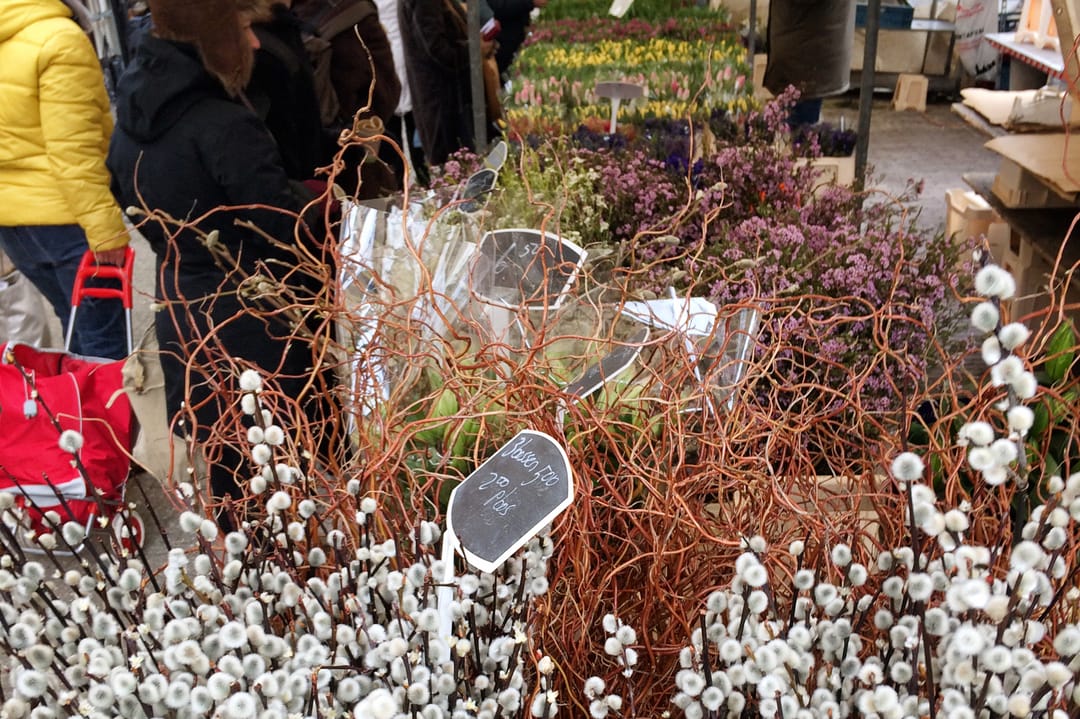 Foto 38 van Vinkenstraat 156-1