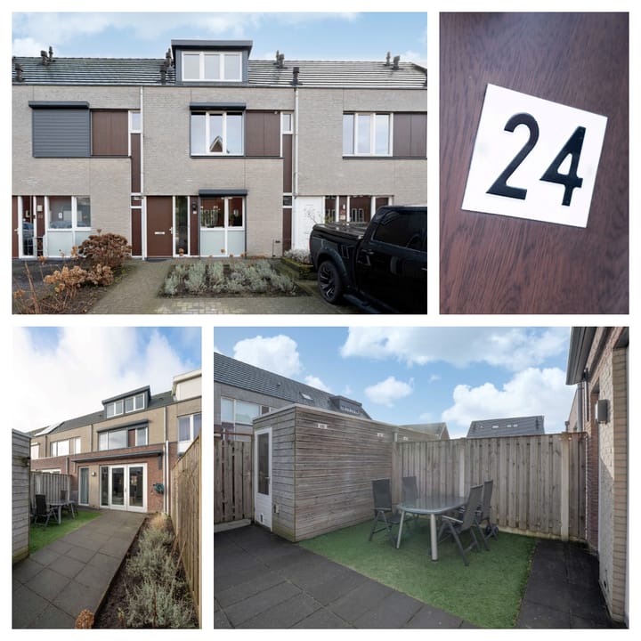 Foto 3 van Steenarend 24