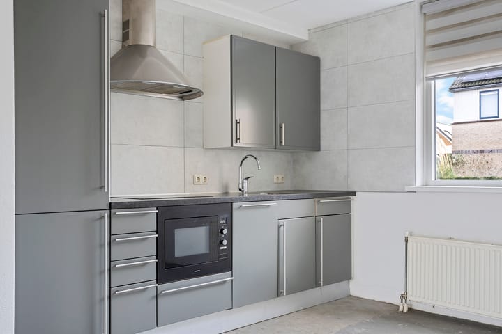 Foto 2 van Zwarte Specht 31