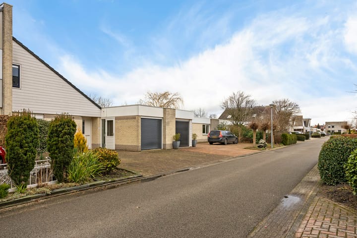 Foto 6 van Zwarte Specht 31