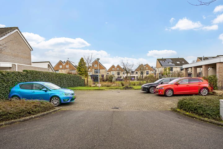 Foto 7 van Zwarte Specht 31