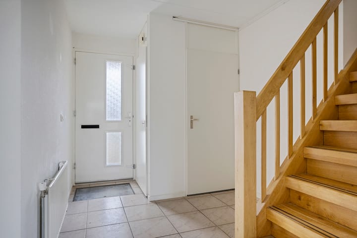 Foto 8 van Zwarte Specht 31