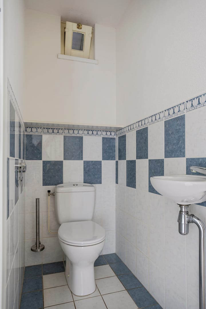 Foto 9 van Zwarte Specht 31