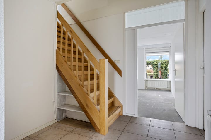 Foto 10 van Zwarte Specht 31