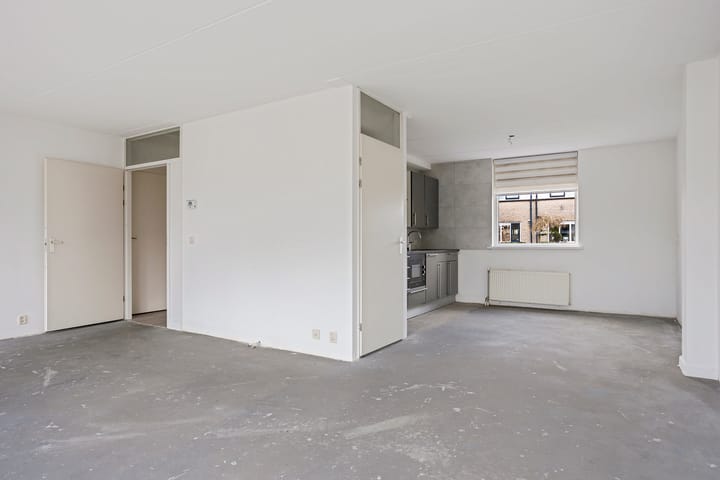 Foto 12 van Zwarte Specht 31