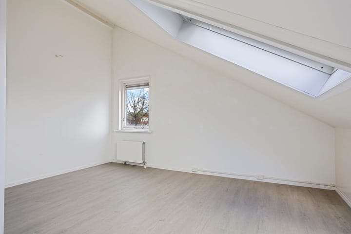 Foto 19 van Zwarte Specht 31