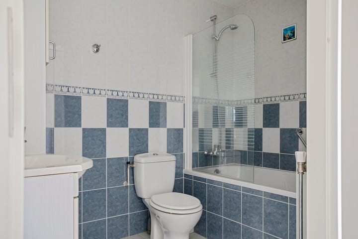 Foto 21 van Zwarte Specht 31