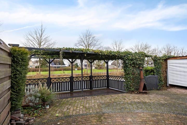 Foto 22 van Zwarte Specht 31