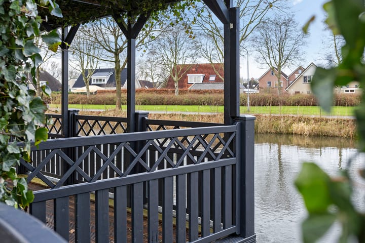 Foto 23 van Zwarte Specht 31