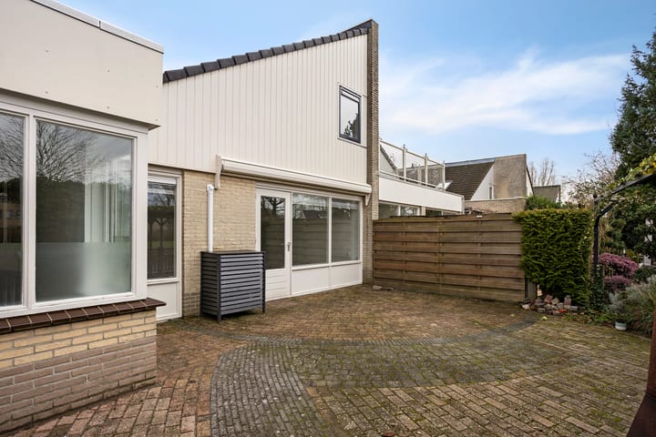 Foto 25 van Zwarte Specht 31