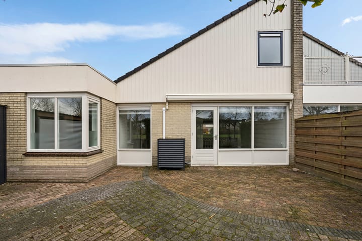 Foto 26 van Zwarte Specht 31