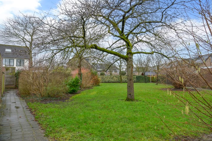 Foto 22 van Hoornsehop 3