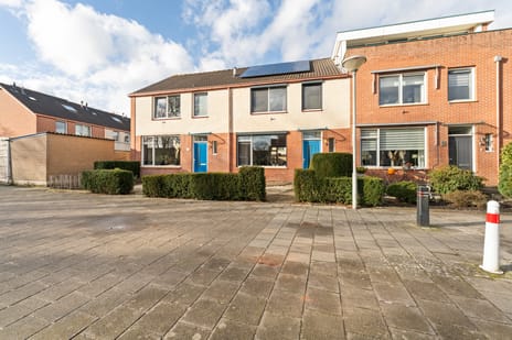 undefined main image