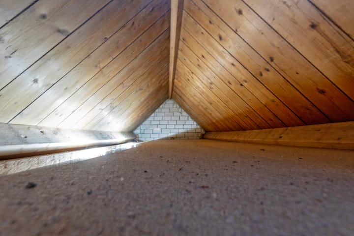 Photo 27 of Dijkje 8