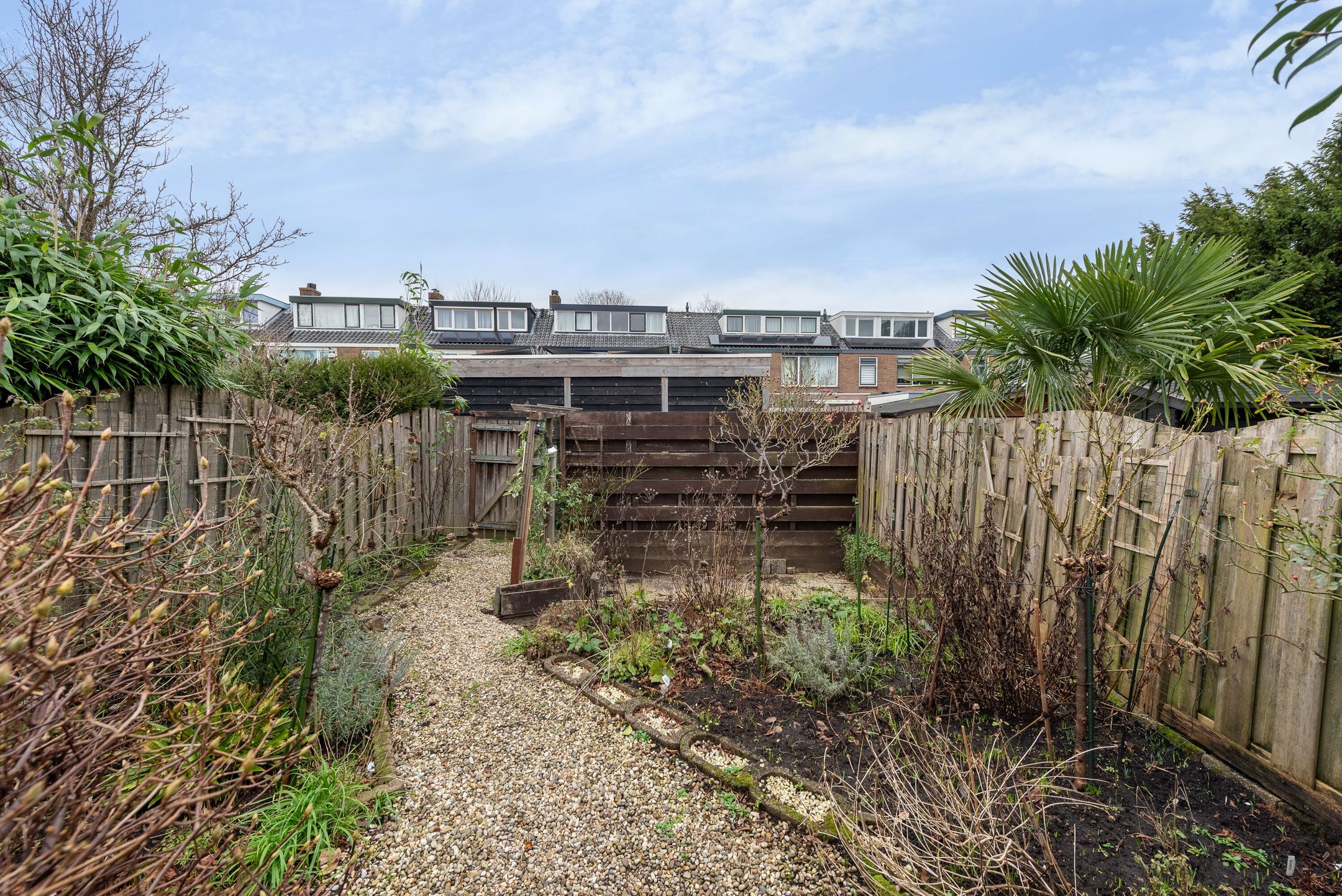 Foto 15 van Prof. dr. T.M.C. Asserweg 8