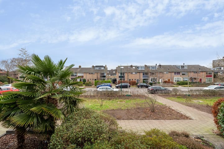 Foto 29 van Prof. dr. T.M.C. Asserweg 8