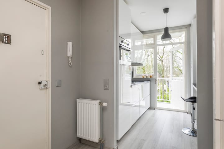 Foto 3 van Pieter Jelles Troelstralaan 51-B