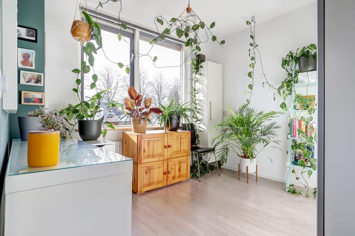 Foto 19 van Kempenaar 19