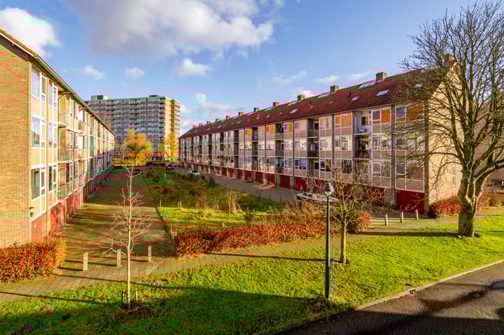 Photo 31 of Arent Krijtsstraat 79