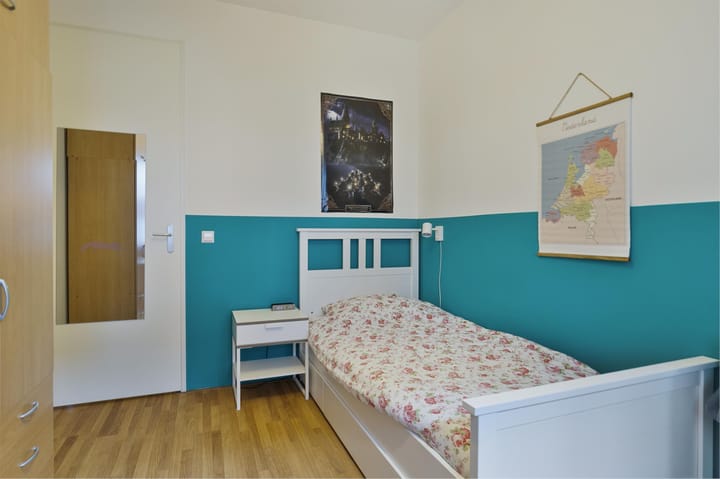 Foto 22 van Catharina van Zoelenstraat 61