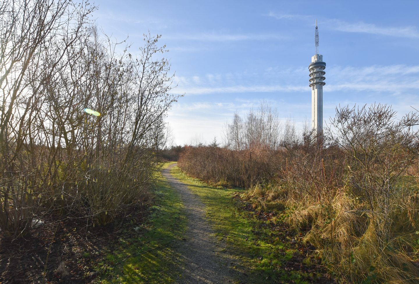 Foto 29 van Duinvoet 80