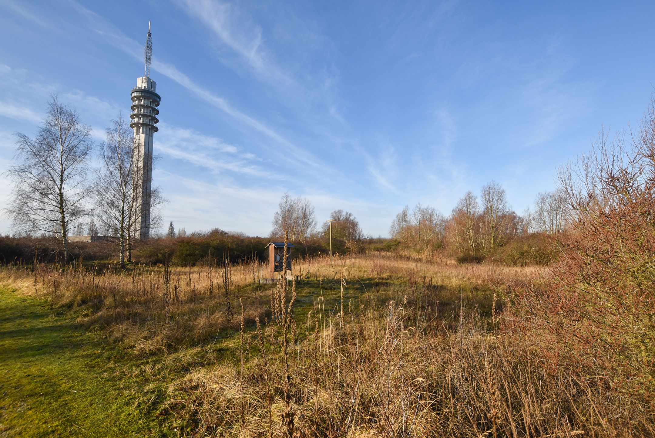 Foto 30 van Duinvoet 80