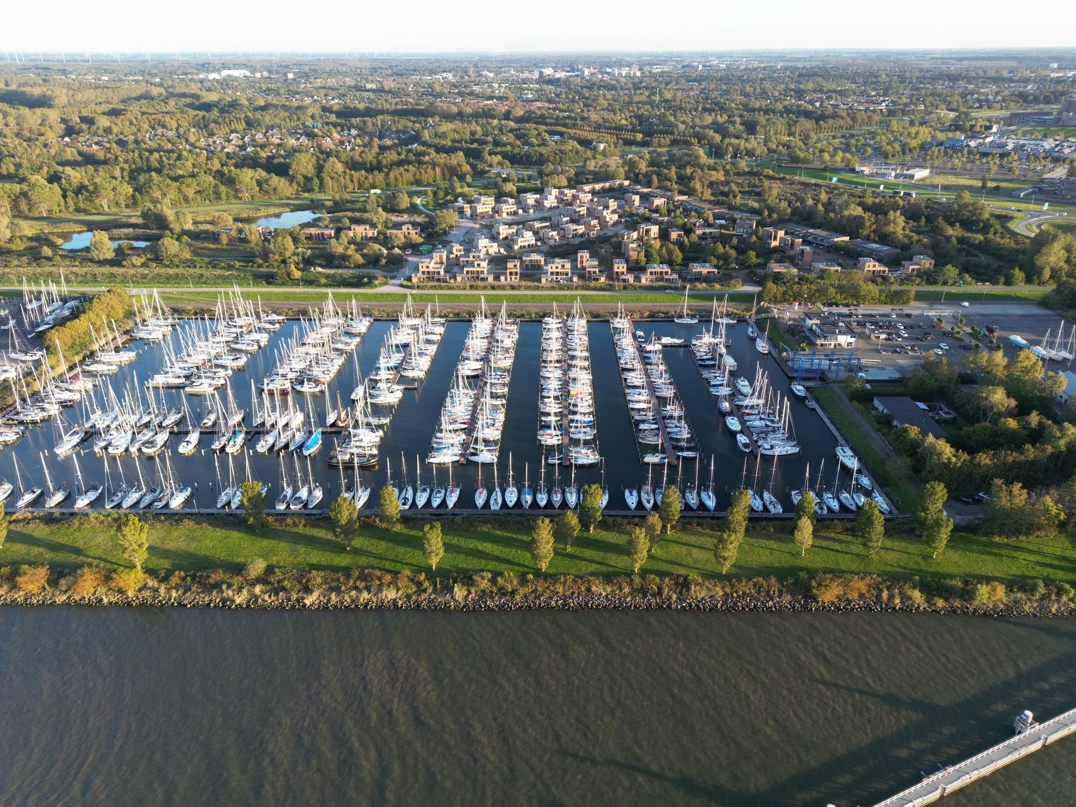 Foto 36 van Duinvoet 80