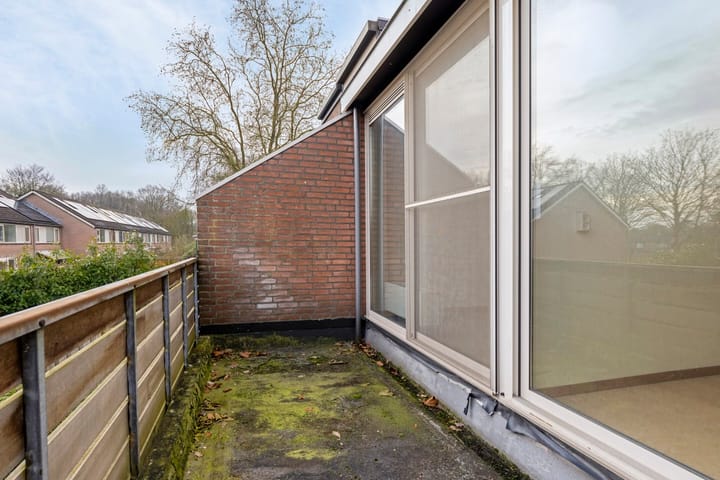 Photo 15 of Houtsnipwal 94