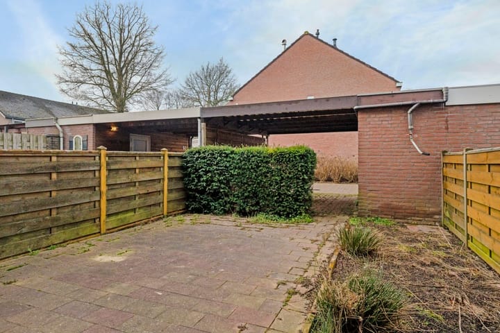 Photo 25 of Houtsnipwal 94