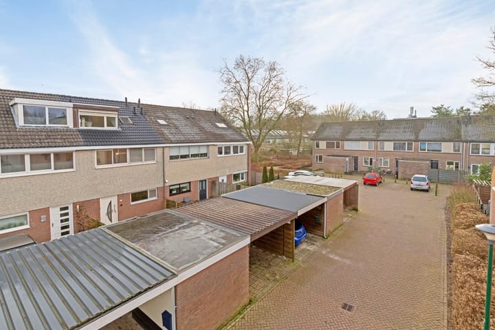 Photo 28 of Houtsnipwal 94