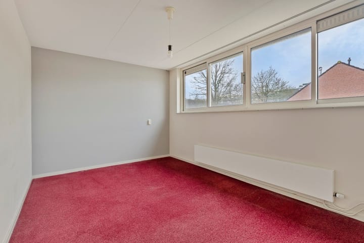 Photo 11 of Houtsnipwal 94