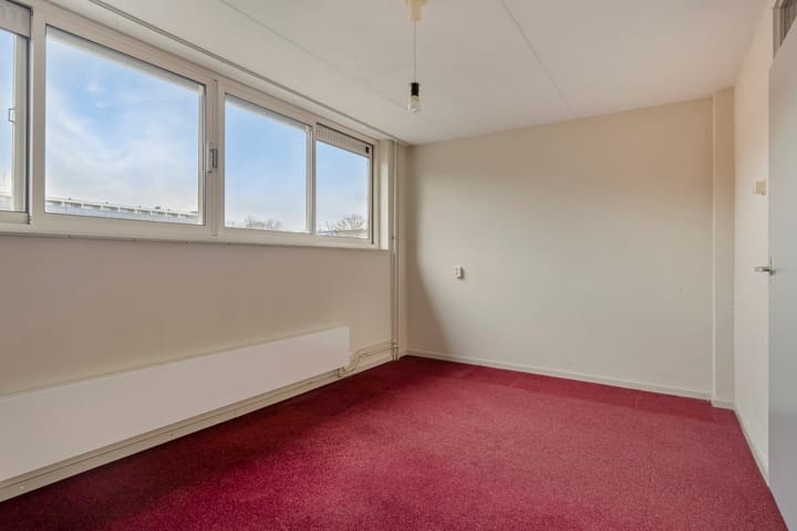 Photo 12 of Houtsnipwal 94