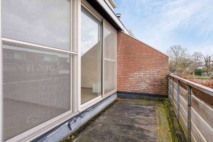 Photo 16 of Houtsnipwal 94