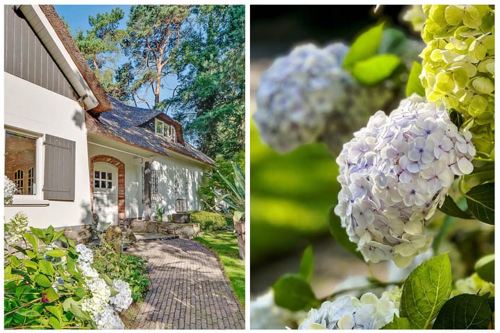 Foto 6 van Dolderseweg 57-B