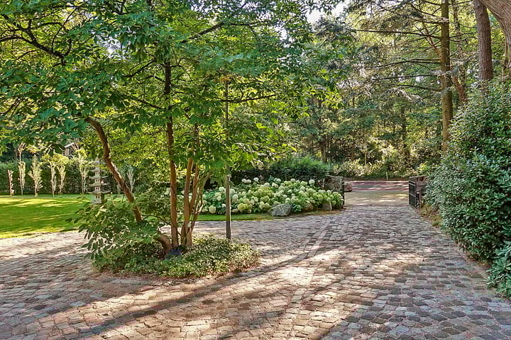 Foto 78 van Dolderseweg 57-B