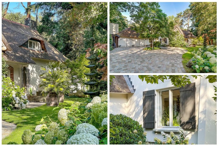 Foto 7 van Dolderseweg 57-B