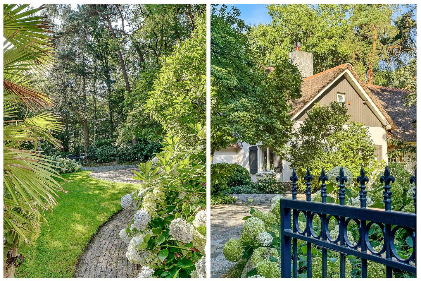 Photo 5 of Dolderseweg 57-B