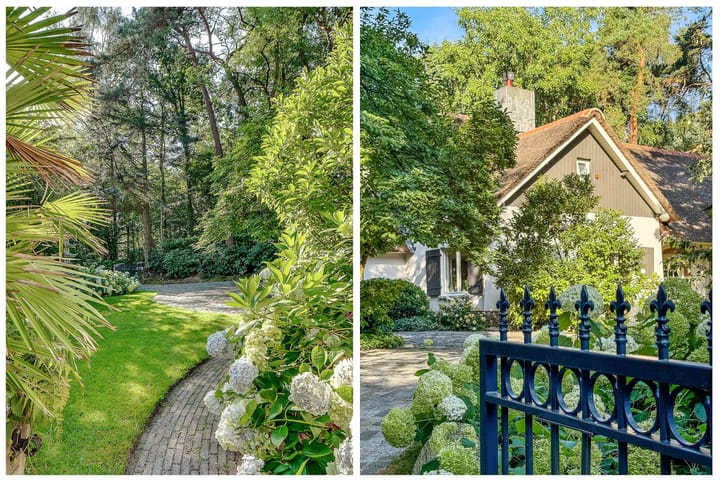 Foto 5 van Dolderseweg 57-B