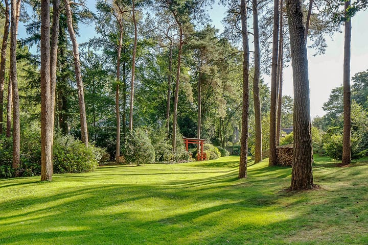 Foto 51 van Dolderseweg 57-B