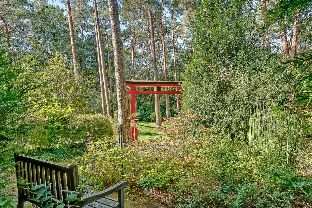 Photo 53 of Dolderseweg 57-B