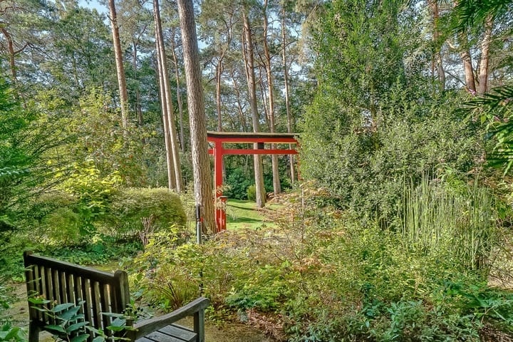 Foto 53 van Dolderseweg 57-B