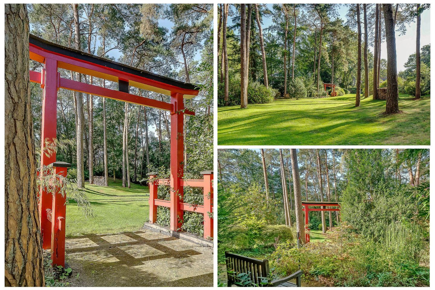 Photo 74 of Dolderseweg 57-B